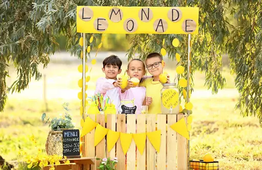 kid lemonade stand | unenforceable hoa rules in texas